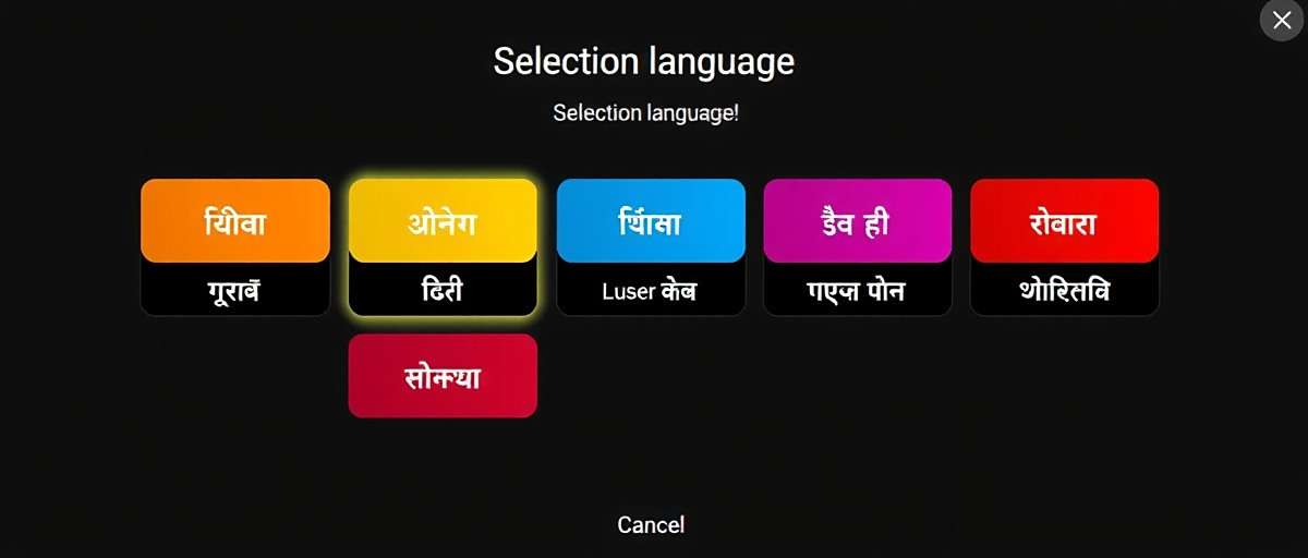Ameerpet Aces Language Support Ameerpet Aces language selection screen showing various Indian language options